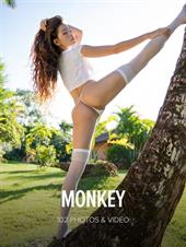Irene Rouse: Monkey Irene Rouse: Monkey