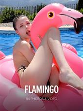 Milla: Flamingo Milla: Flamingo