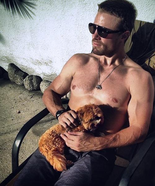 Stephen Amell