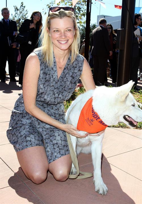 Amy Smart at the Best Friends Animal society Pet Adoption in Los Angeles on February 16, 2012