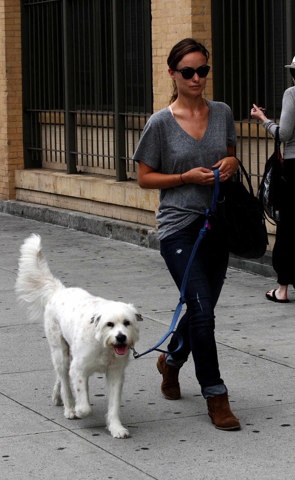 Olivia Wilde walking her dog in New York City - July 22, 2013 