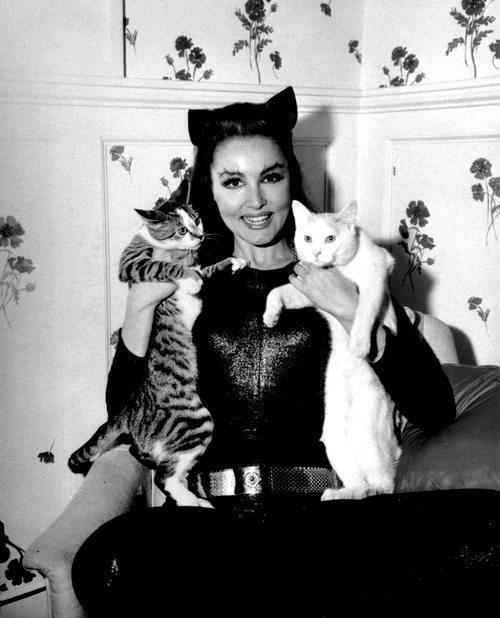 Julie Newmar