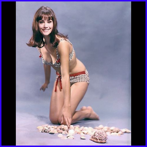 Claudine Auger in a bikini