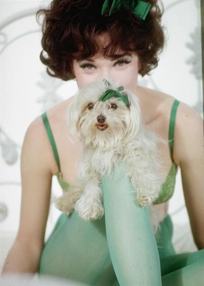 Shirley MacLaine