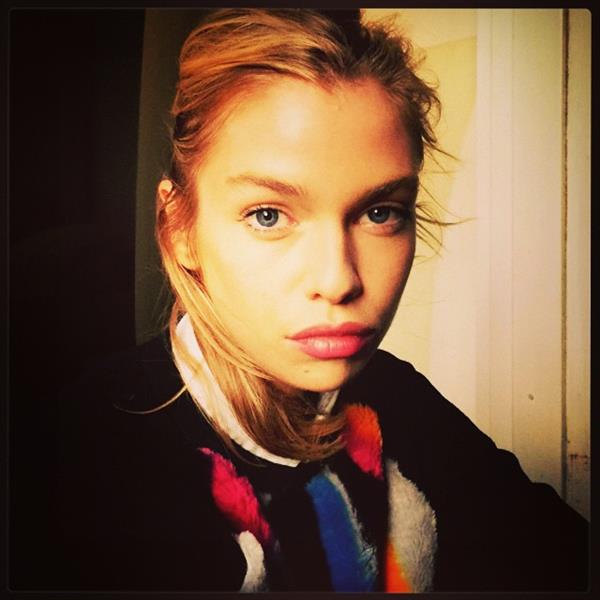 Stella Maxwell