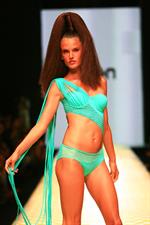 Alessandra Ambrosio in a bikini