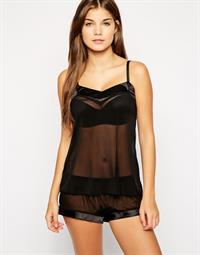 Gabriela Salles in lingerie