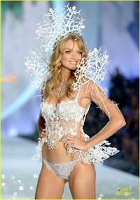 Lindsay Ellingson in lingerie