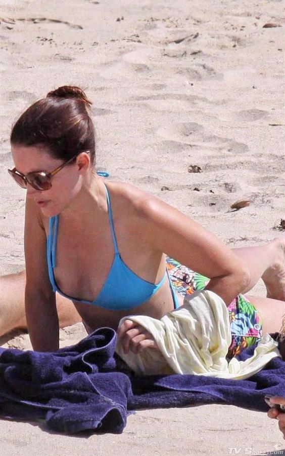 Kristin Davis in a bikini