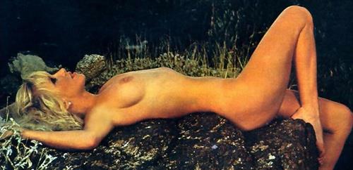 Suzanne Somers - breasts