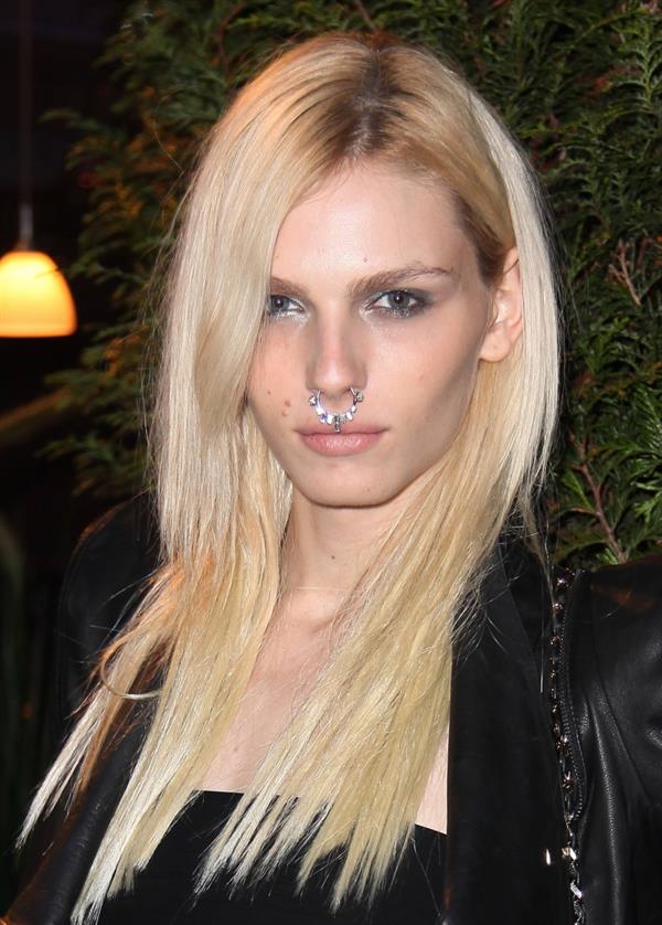 Andreja Pejić