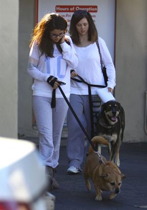 Selena Gomez taking her dogs to a Veterinary Clinic in Encino, November 24, 2012 