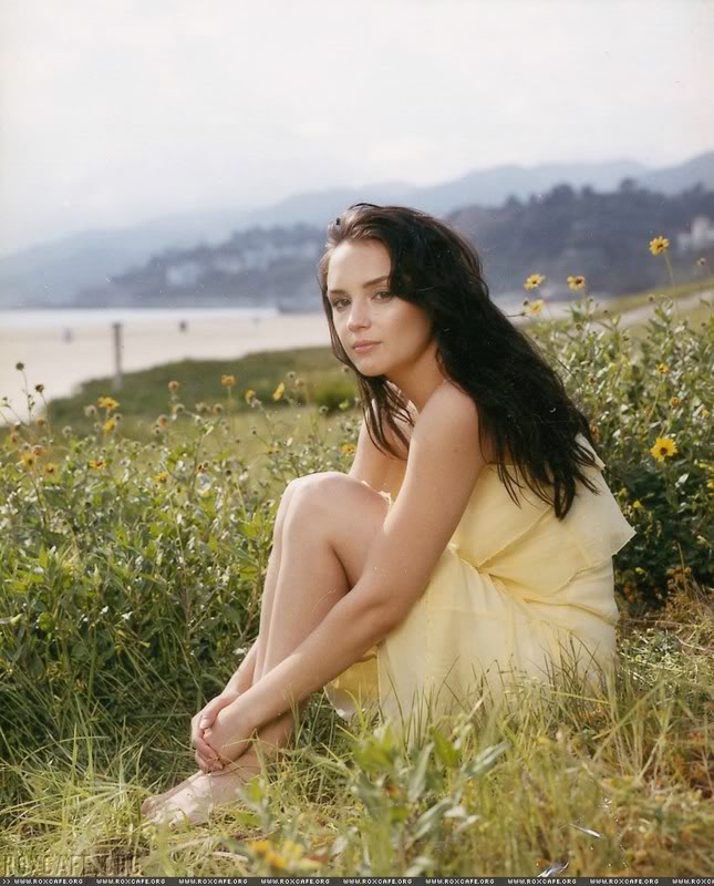 Rachael Leigh Cook