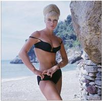 Elke Sommer in a bikini
