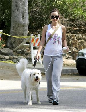 Olivia Wilde walking her dog in the Hollywood Hills on June 24, 2011