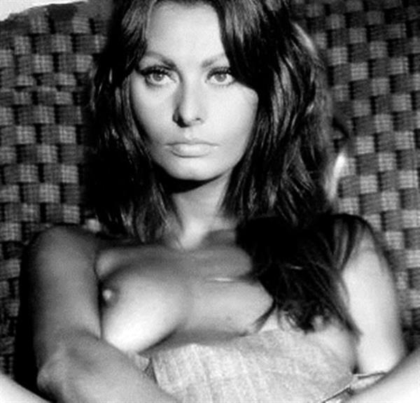 Sophia Loren - breasts
