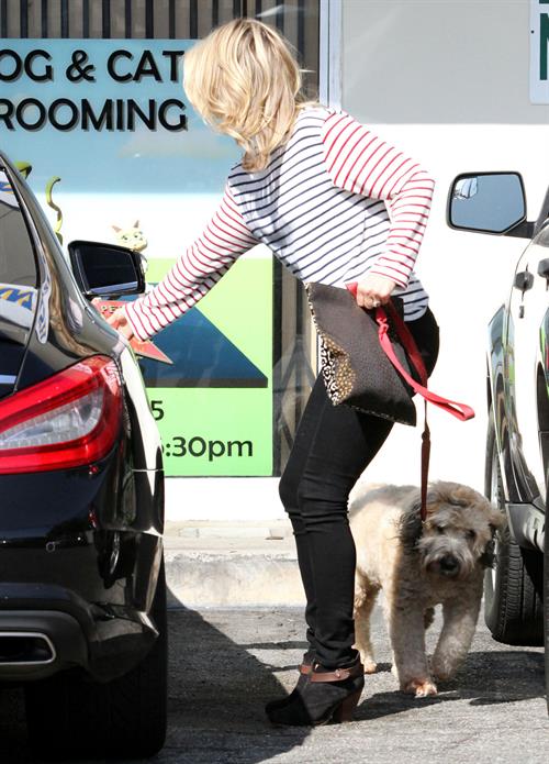 Ali Larter at the dog groomers in Los Angeles 10/22/13  