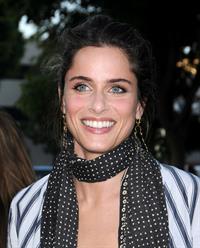 Amanda Peet at the Pineapple Express premiere in Westwood 