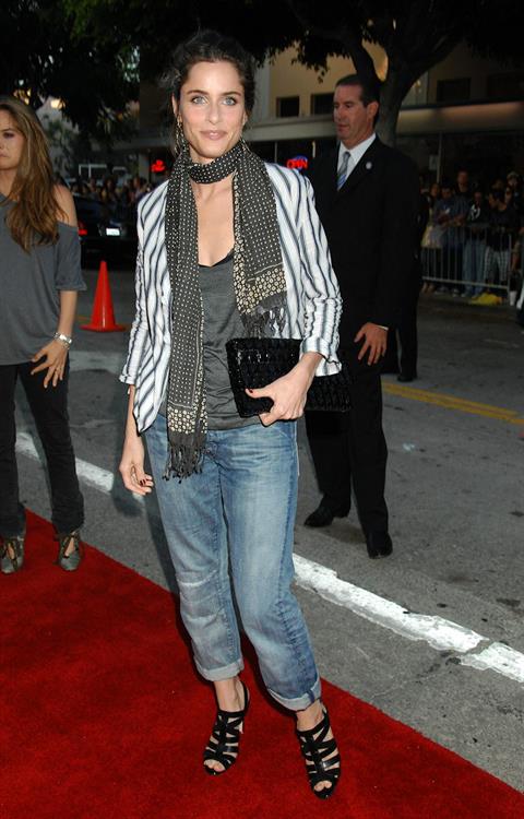 Amanda Peet at the Pineapple Express premiere in Westwood 