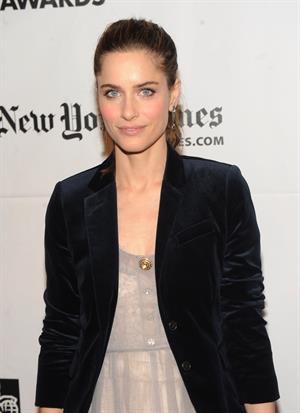 Amanda Peet IFPS 20th annual Gotham independent film awards on November 29, 2010