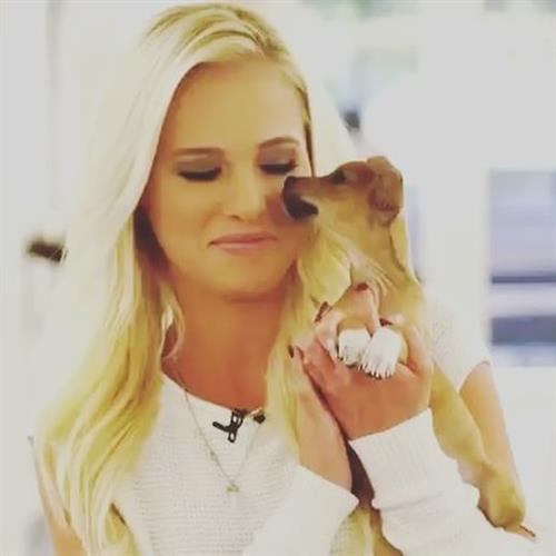Tomi Lahren