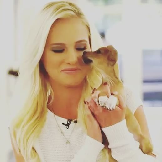 Tomi Lahren