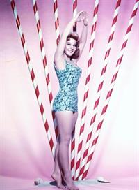 Sherry Jackson in a bikini