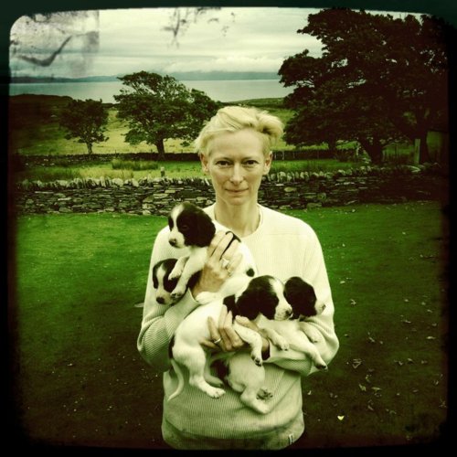 Tilda Swinton