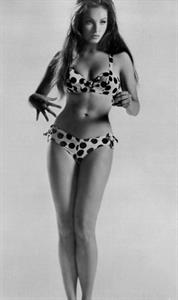 Julie Newmar in a bikini