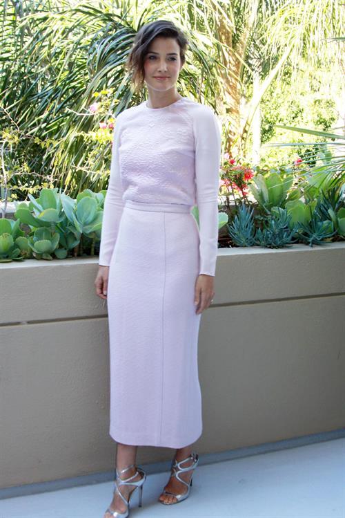 Cobie Smulders  Delivery Man  press conference 2013-11-01 