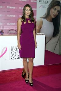 Elizabeth Hurley Estee Lauder's Breast Cancer Awareness campaign in London - Oct 8, 2012 