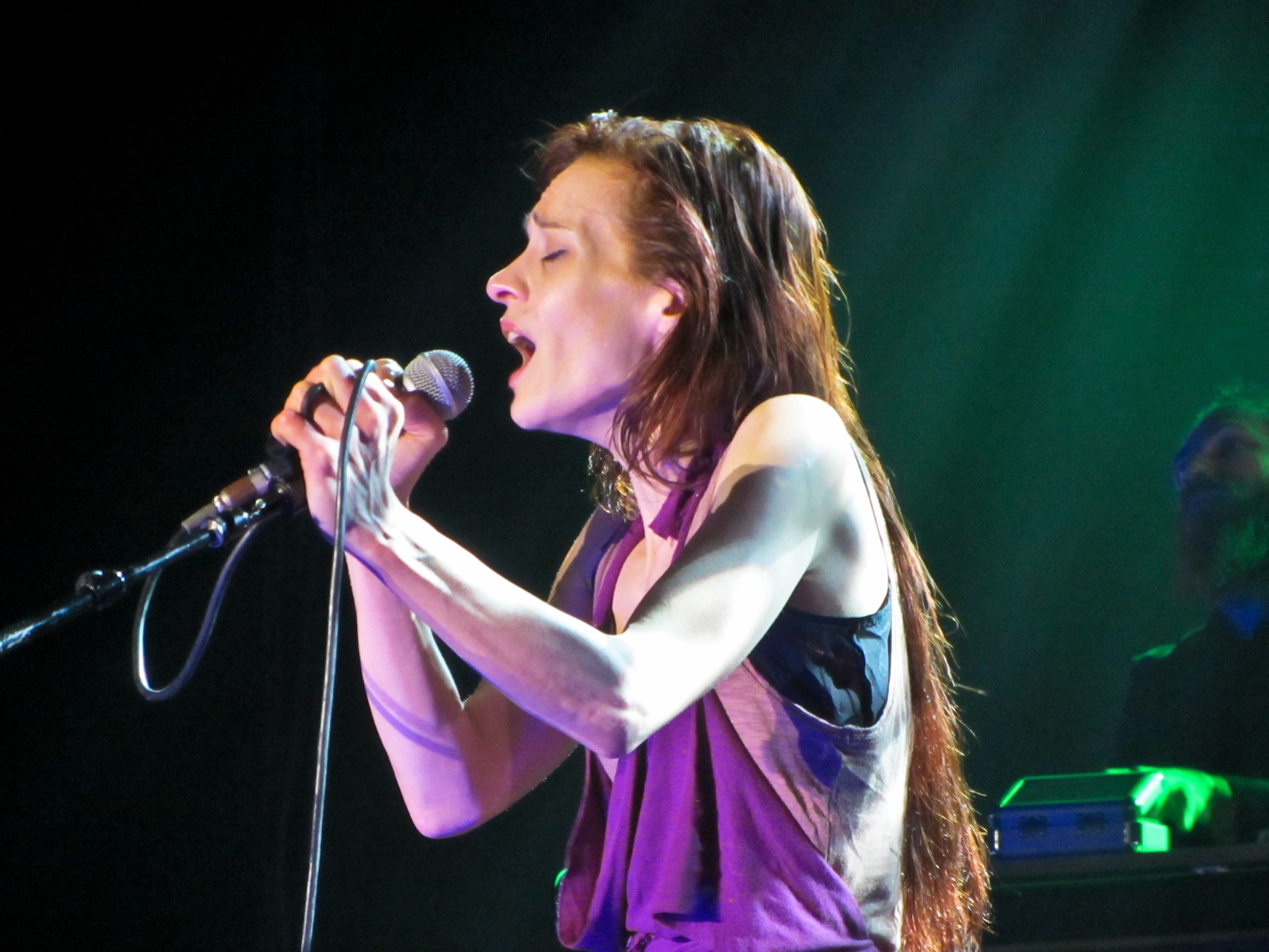 Fiona Apple - Performing at the Hollywood Palladium - July 29, 2012