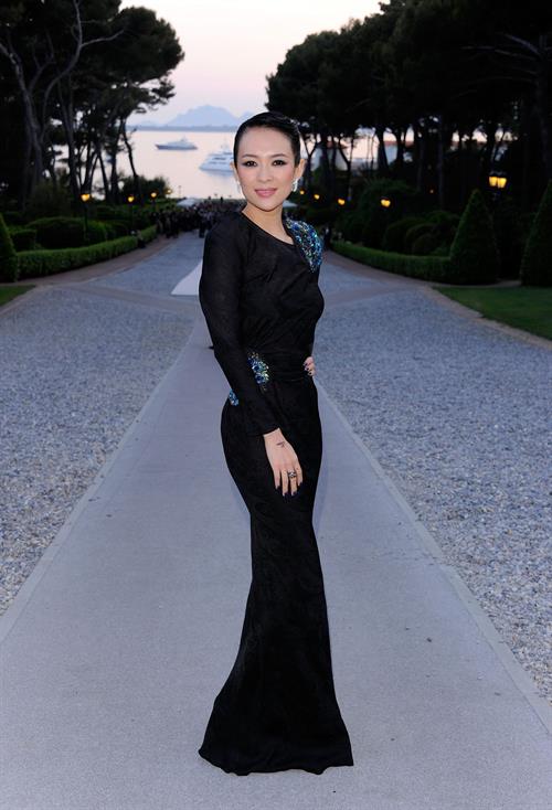Zhang Ziyi amfars Cinema Against AIDS Gala in Antibes France on May 19, 2011