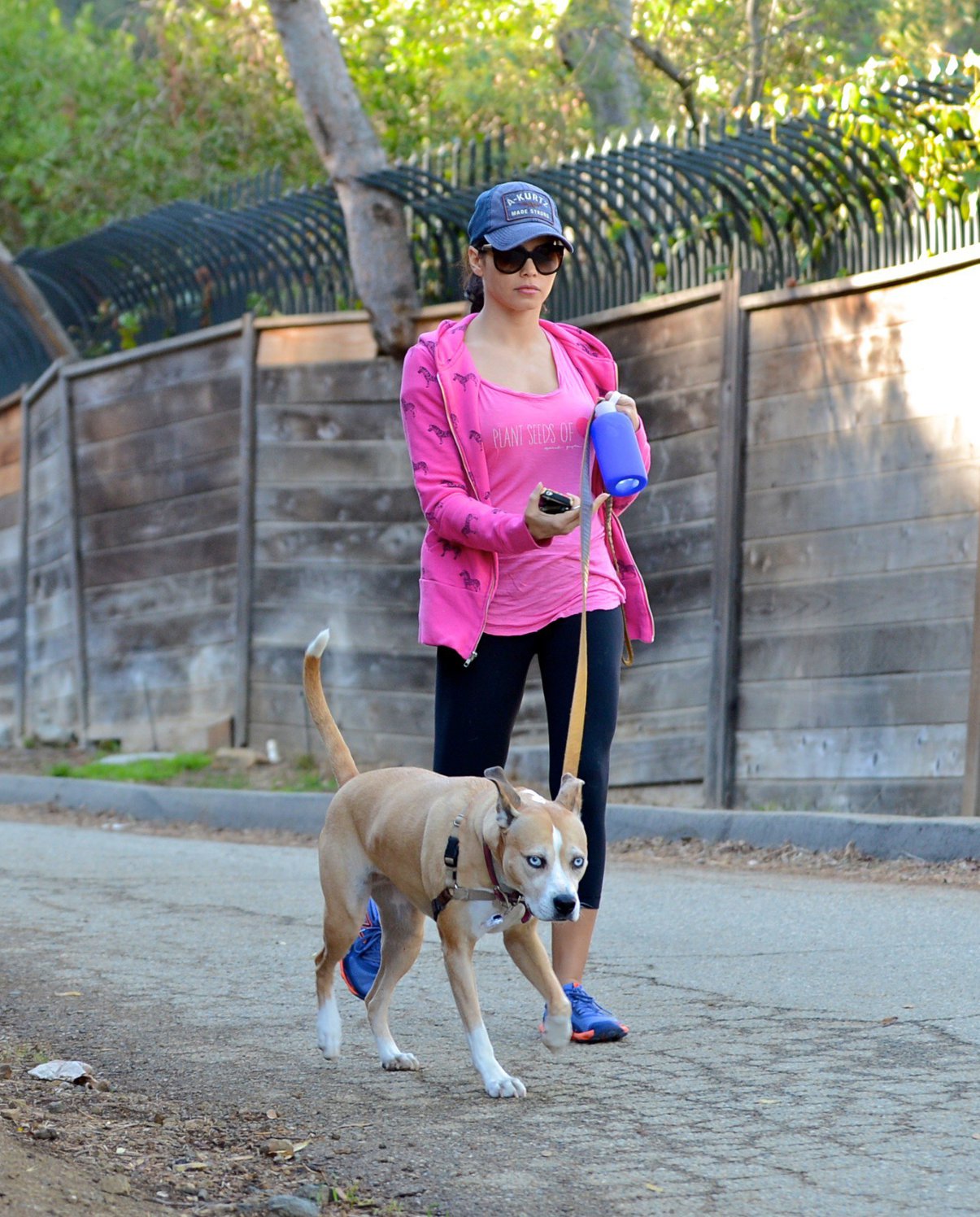 Jenna Dewan Takes her dog for a walk in Runyon Canyon, Los Angeles (November 16, 2012) 