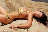 Denise Milani in a bikini