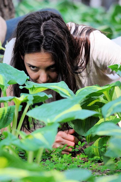 Katie Holmes Films  Mania Days  in Washington Square Park (May 21, 2013) 