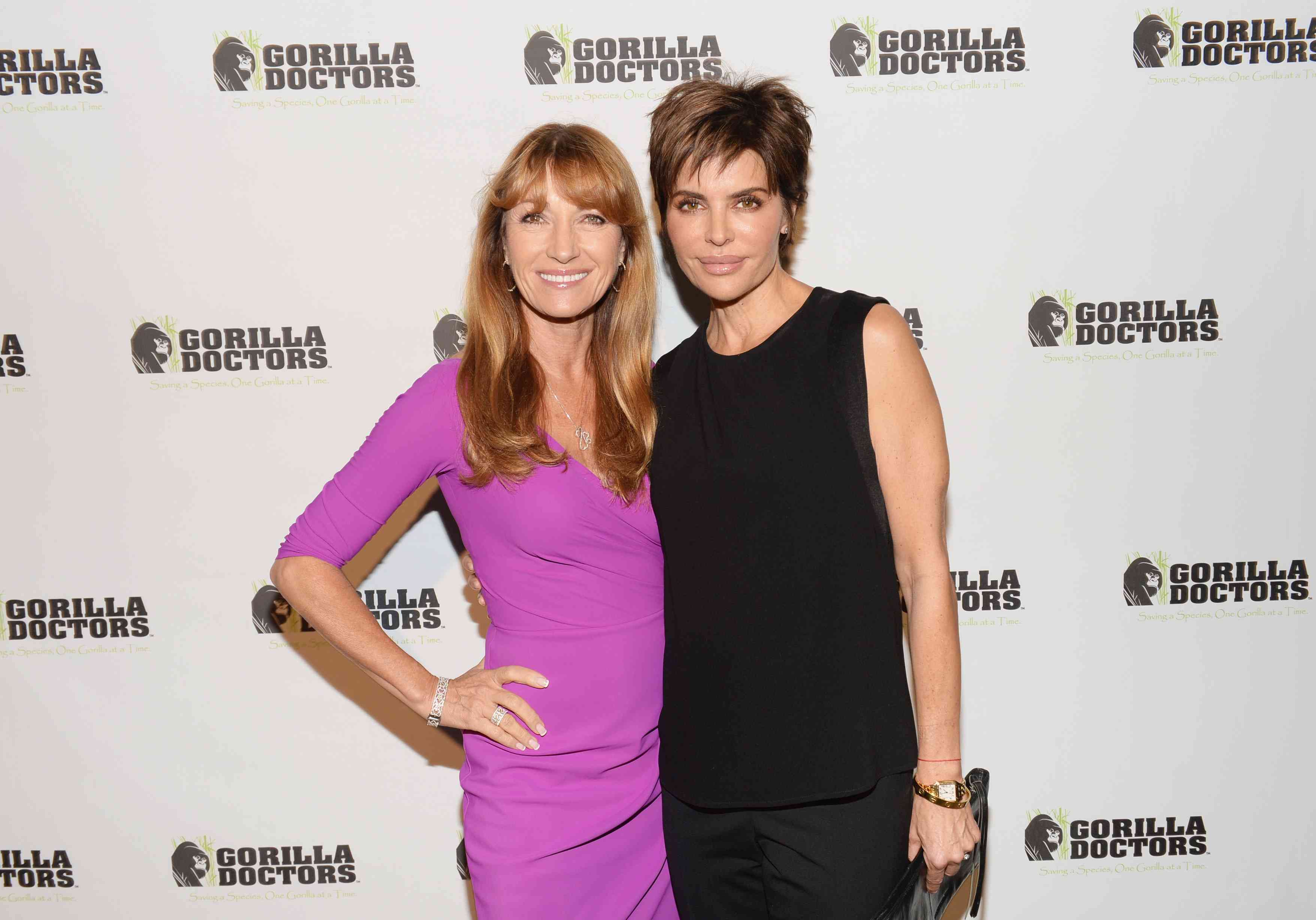 Lisa Rinna Gorilla Doctors of Africa Benefit Event (November 4, 2013) 