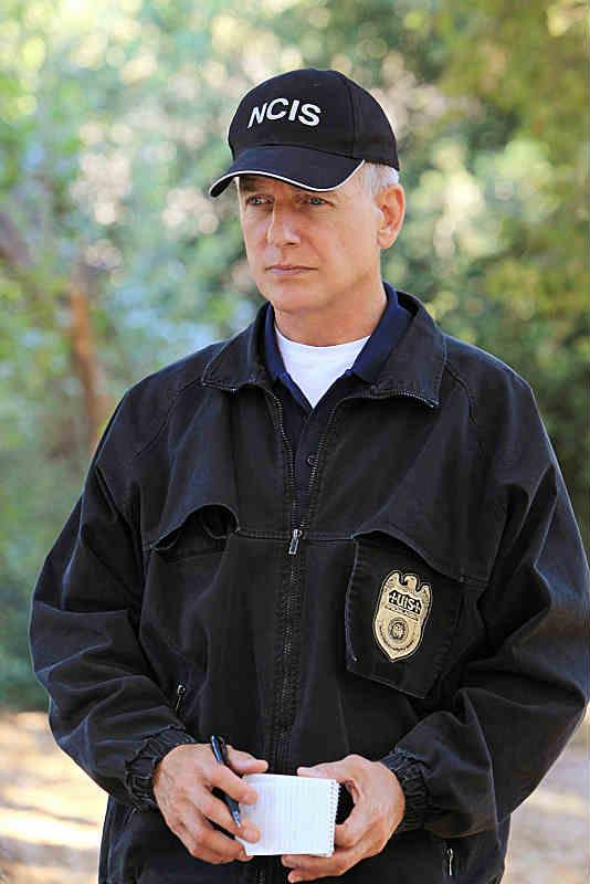 Mark Harmon