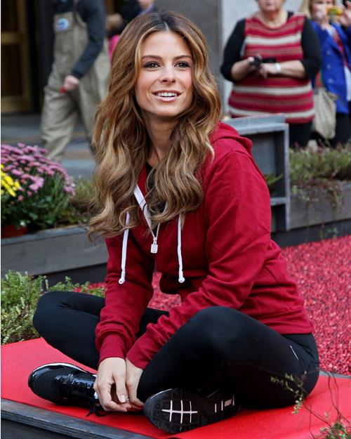 Maria Menounos Red Hot Secrets For Staying Healthy During The Holiday Season Event in NYC 15.11.13 