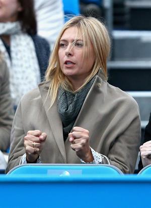 Maria Sharapova Watches her boyfriend on day one of the AEGON Championships at Queens Club in London - June 10, 2013 