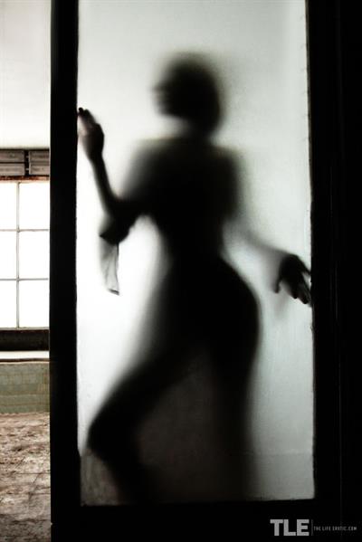 Shiraz in  Silhouette  for The Life Erotic - Shiraz bares her tight body as she plays with her hairy pussy.