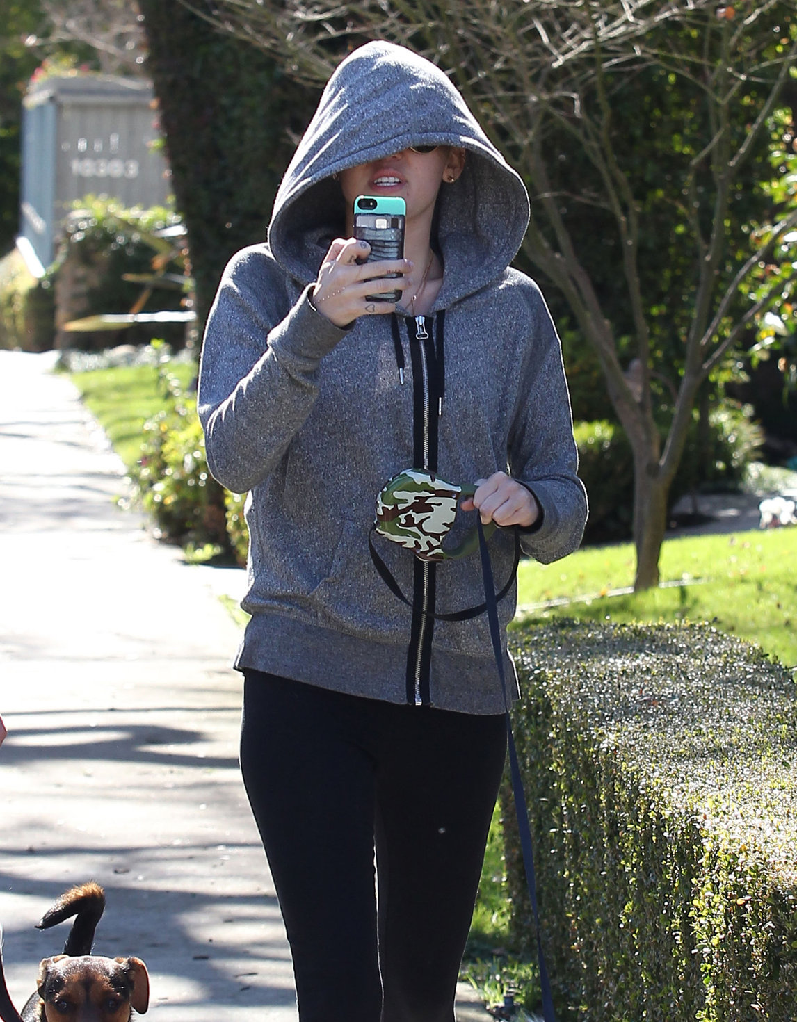 Miley Cyrus walking her dog in Studio City 1/28/13 