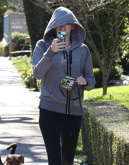 Miley Cyrus walking her dog in Studio City 1/28/13 