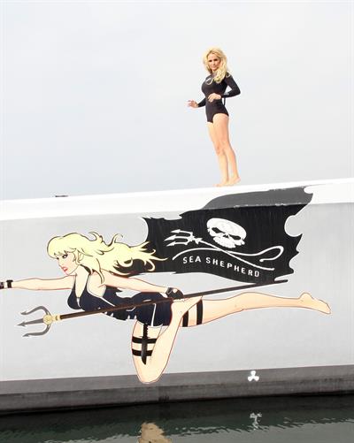 Pamela Anderson Launches Sea Shepherds Operation Zero Tolerance Whale Defense Campaign on November 2, 2012 