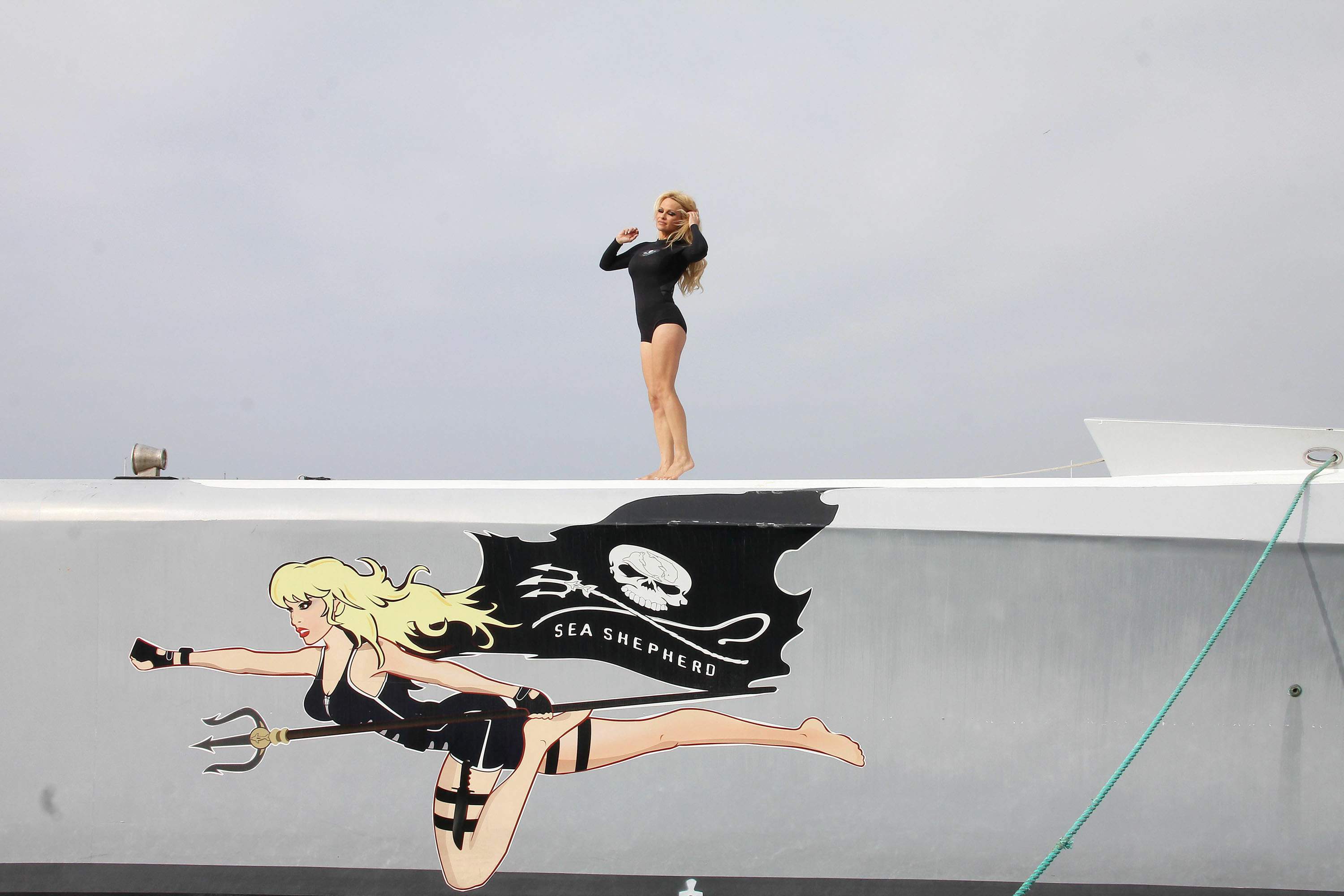 Pamela Anderson Launches Sea Shepherds Operation Zero Tolerance Whale Defense Campaign on November 2, 2012 