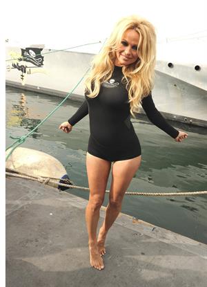 Pamela Anderson Launches Sea Shepherds Operation Zero Tolerance Whale Defense Campaign on November 2, 2012 