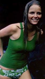 Cheryl Tiegs - breasts
