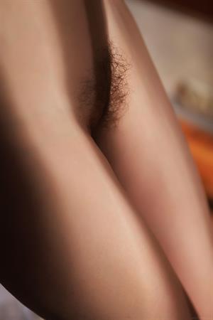 Sofi Shane Nude Pictures Sofi Shane -  Obetta  for Met-Art