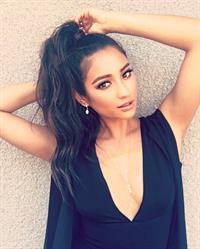 Shay Mitchell