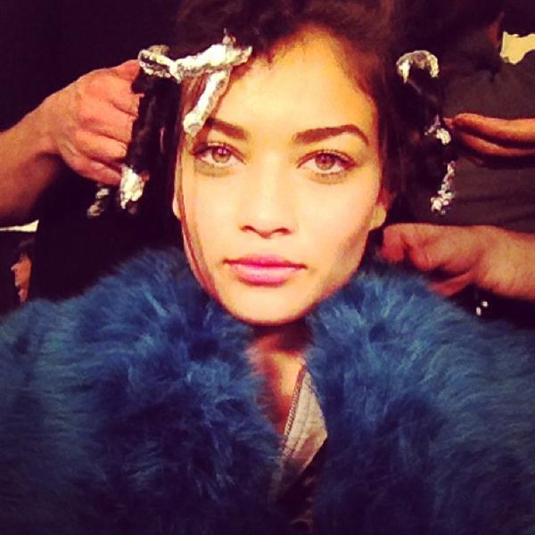 Shanina Shaik